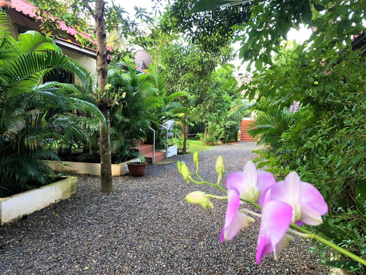 Green Mango Bungalows Кампот Экстерьер фото